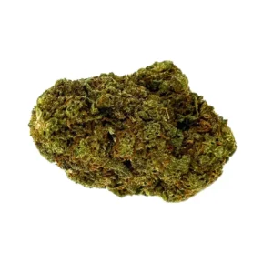Fleur de BlueBerry