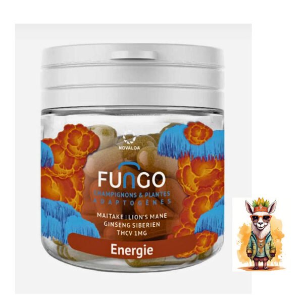 FUNGO Énergie