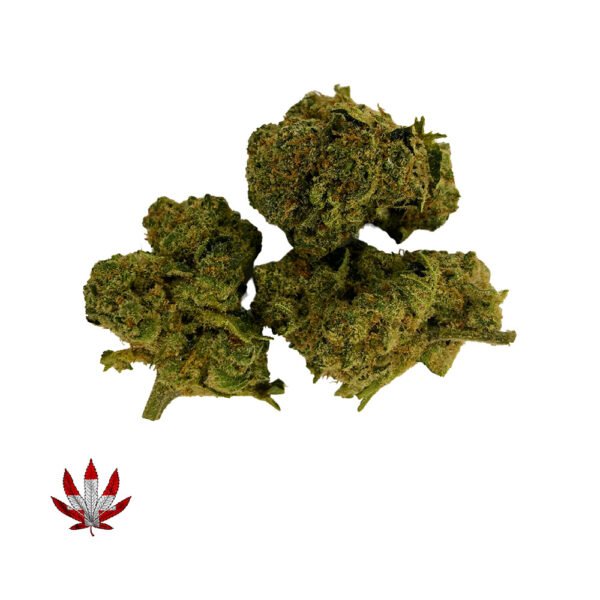 AMNESIA INDOOR CBD