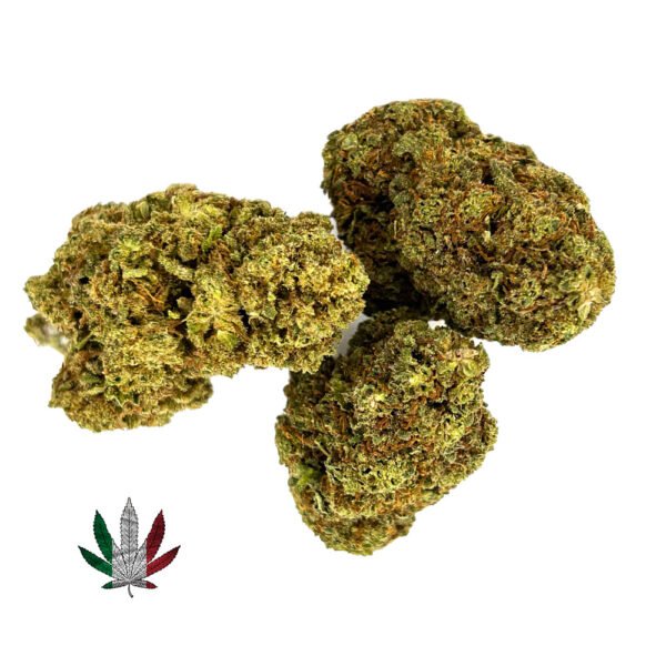 Fleur de Blueberry