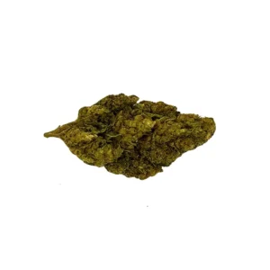 HARLEQUIN HYDRO CBD