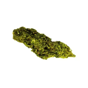 Fleur de Mobydick