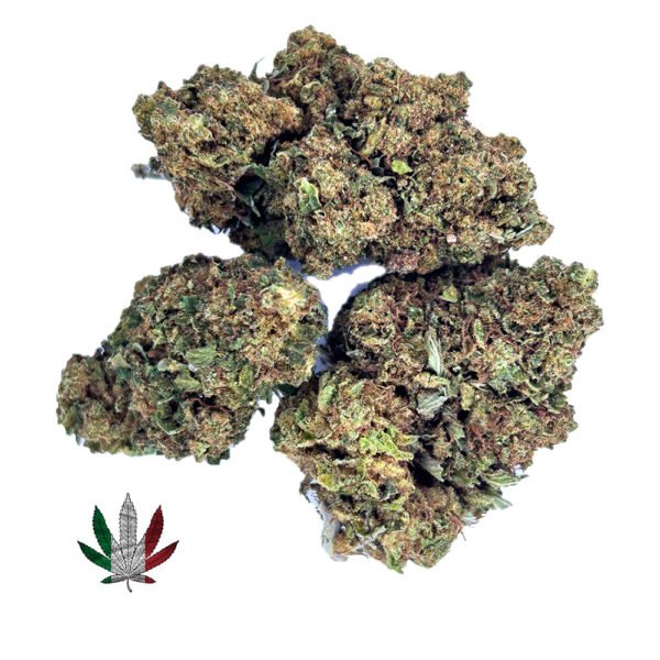 Fleur d'Orange Bud