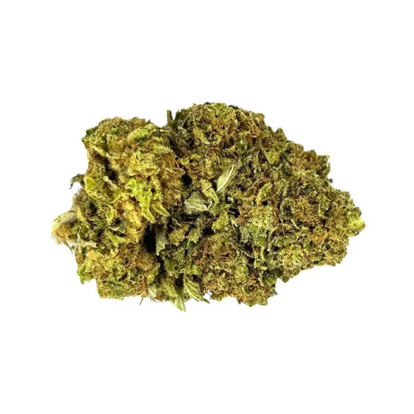 Fleurs d'Orange Bud