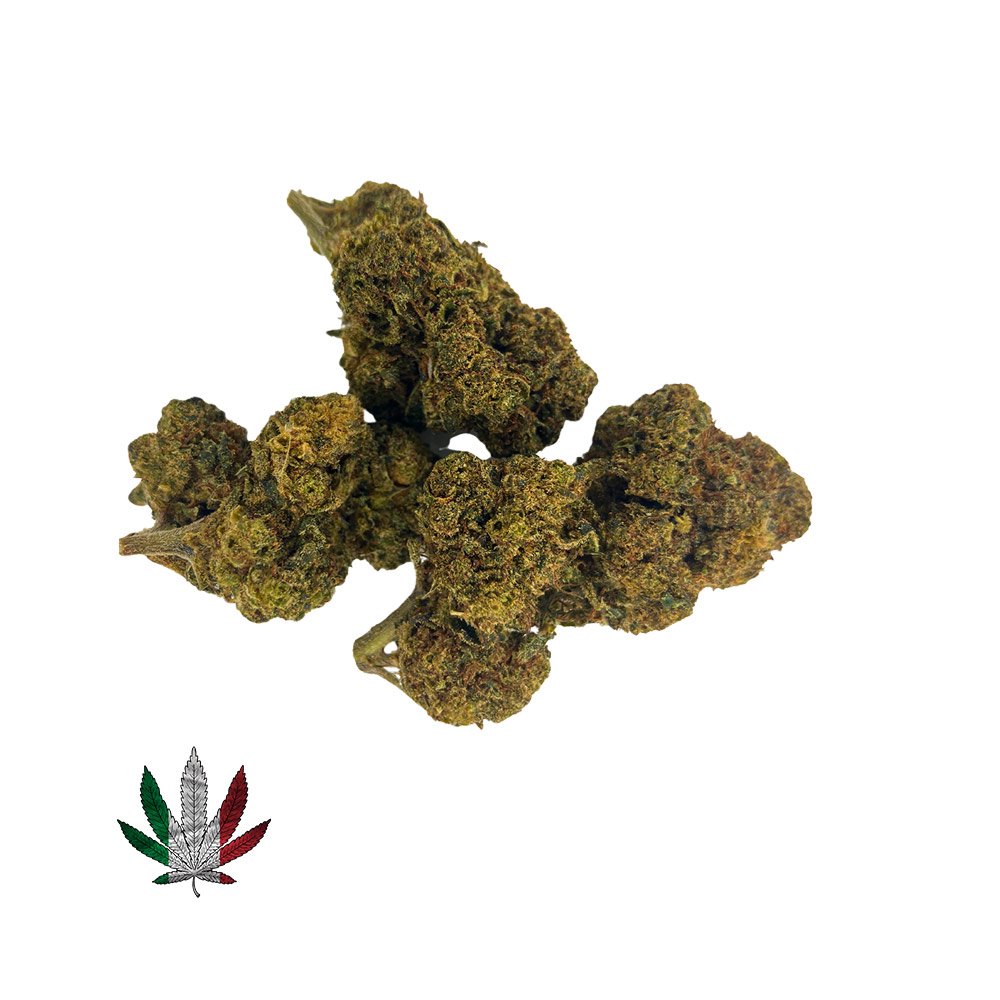 WHITE WIDOW 10 OH HHC CBD